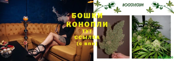 хмурый Армянск