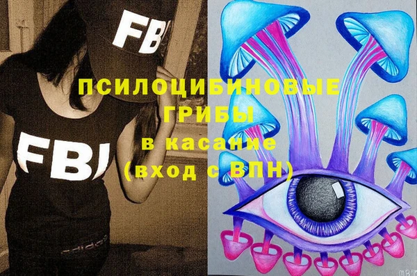 хмурый Армянск