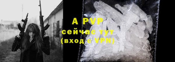 PSILOCYBIN Арсеньев