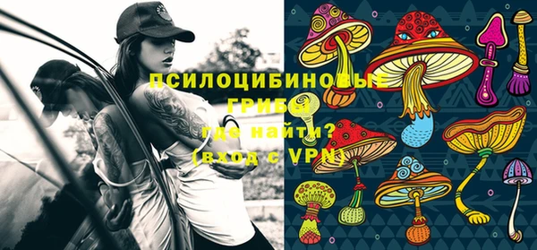 PSILOCYBIN Арсеньев