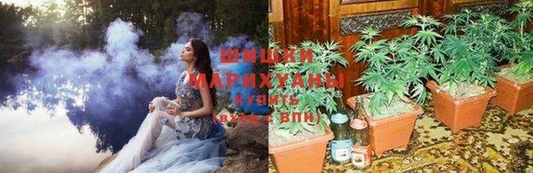 mdpv Алексин