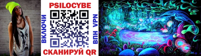 Галлюциногенные грибы Psilocybine cubensis  купить   Нурлат 